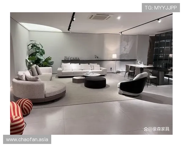 丽景湾家具：打造温馨舒适家居的理想选择